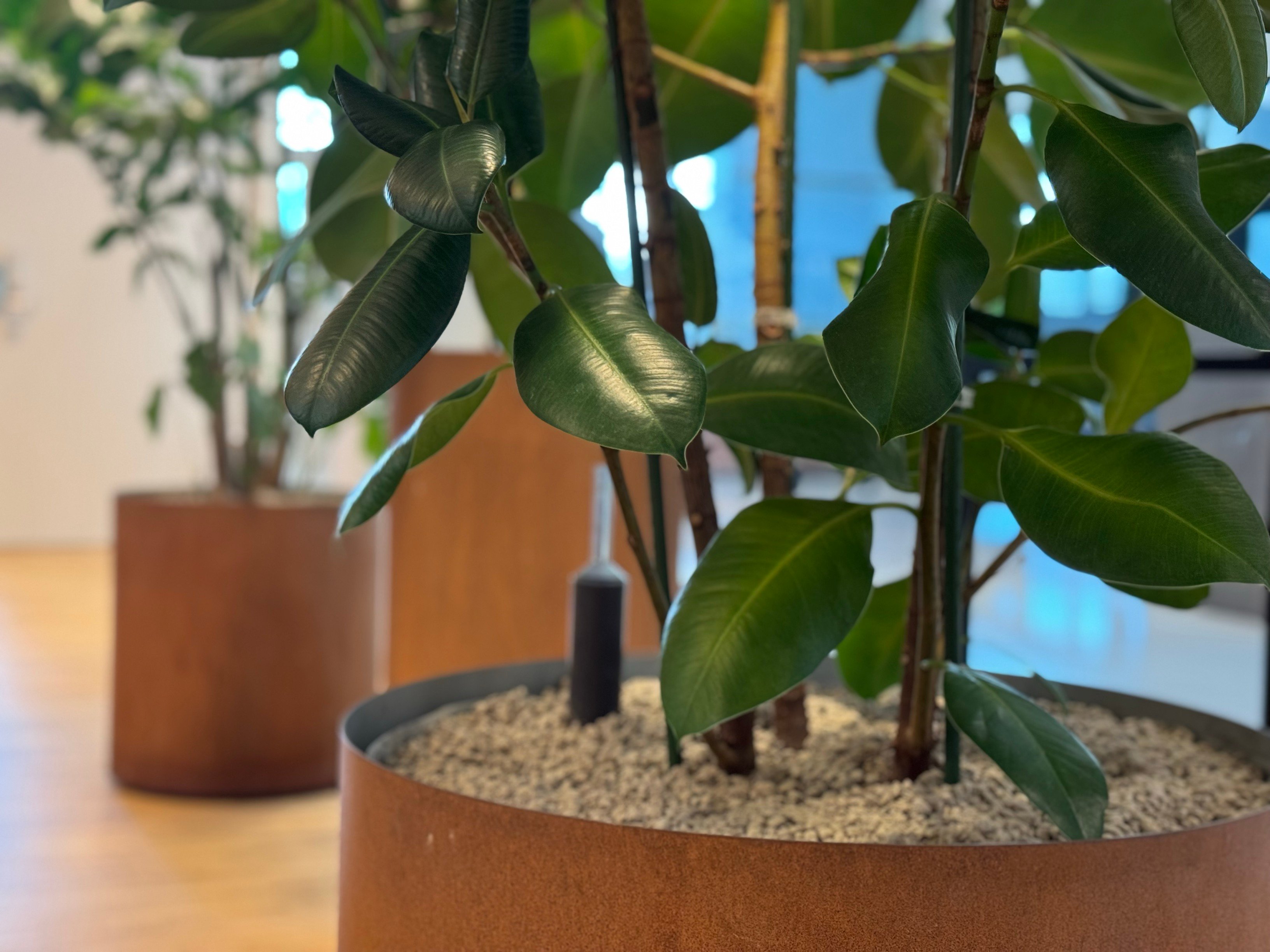 Oslo_Norway_kværnerbyen (1)