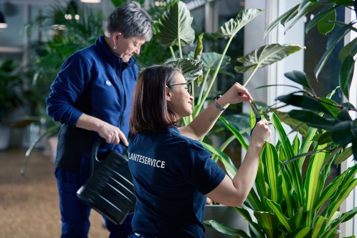 ISS dag2 feb245805 (Medium)