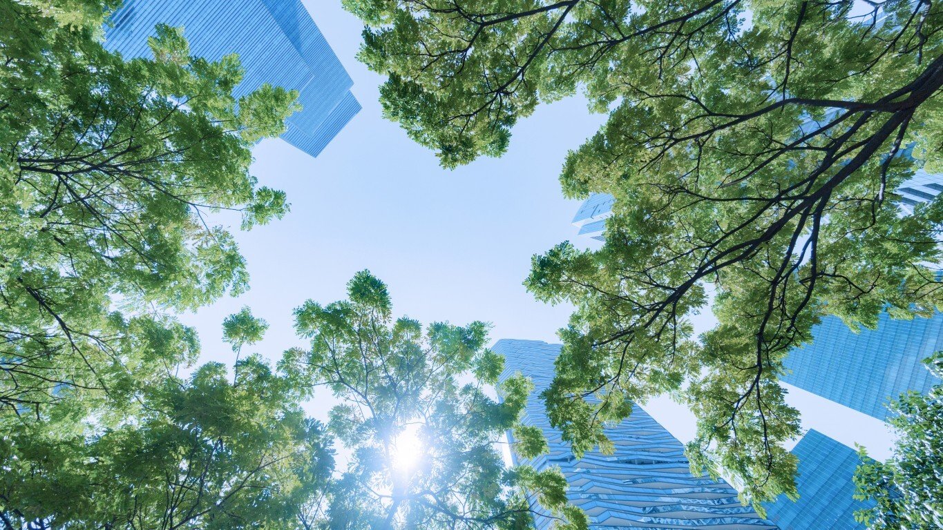 Net Zero (1) (Medium)